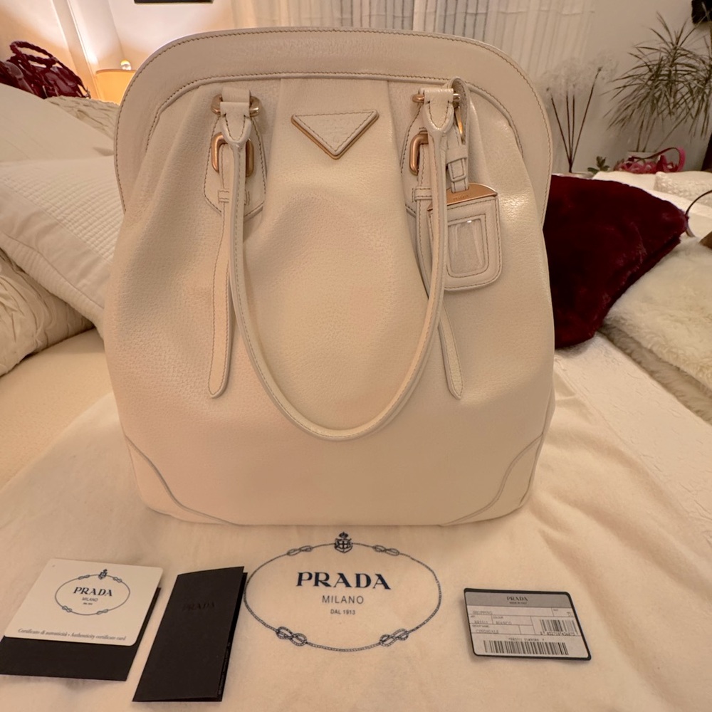 🩶Sold🩶 Prada Cinghiale Frame Dr Bag Vitello Diano Tall White